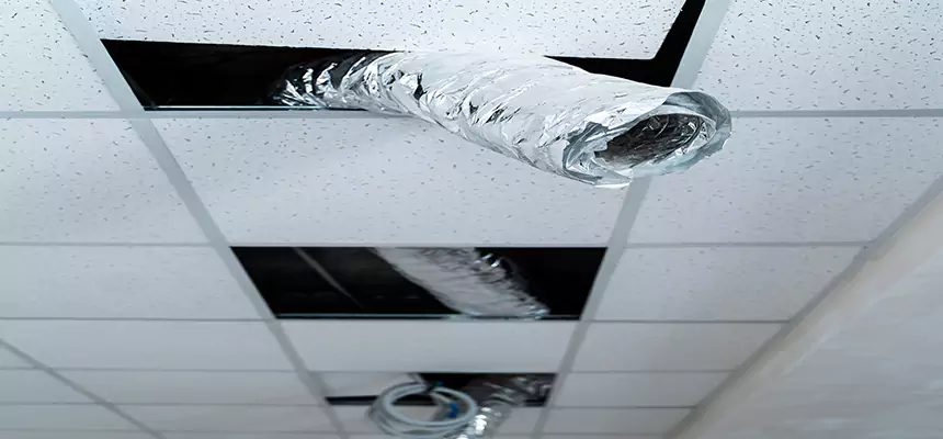 Affordable HVAC Sanitizing After Pest Removal in Riverdale