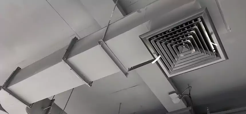 Restorative Allergy Relief Vent Cleaning – Coil, Blower & Housing Detail in Riverdale