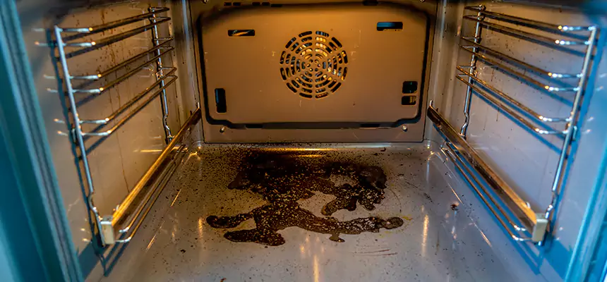 Our Dryer Vent Mold Cleaning Services in Riverdale, GA