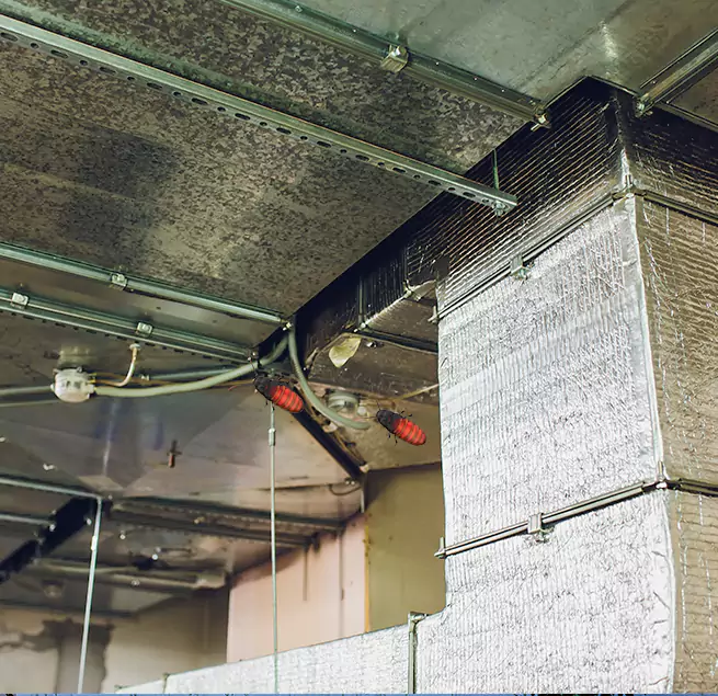 Why Homeowners & Businesses Trust Us in Riverdale, GA?